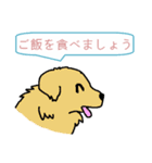 犬村 news (日本語)（個別スタンプ：24）