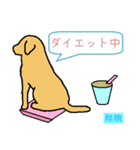 犬村 news (日本語)（個別スタンプ：25）