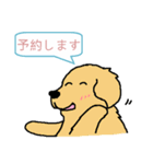 犬村 news (日本語)（個別スタンプ：30）