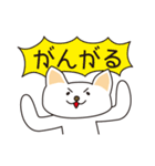 オタクな猫（個別スタンプ：38）