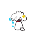 シロといぷー（個別スタンプ：8）