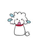 シロといぷー（個別スタンプ：14）