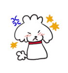 シロといぷー（個別スタンプ：16）