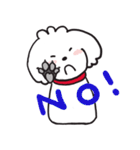 シロといぷー（個別スタンプ：21）