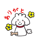 シロといぷー（個別スタンプ：27）