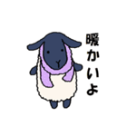 手描きの羊(サフォーク種)（個別スタンプ：12）