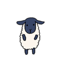 手描きの羊(サフォーク種)（個別スタンプ：31）