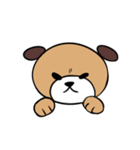 犬猫スタンプ（個別スタンプ：4）