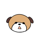 犬猫スタンプ（個別スタンプ：5）