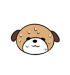 犬猫スタンプ（個別スタンプ：10）