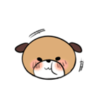 犬猫スタンプ（個別スタンプ：12）