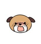 犬猫スタンプ（個別スタンプ：14）