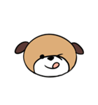 犬猫スタンプ（個別スタンプ：16）