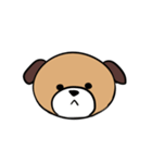 犬猫スタンプ（個別スタンプ：17）
