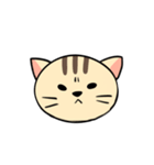 犬猫スタンプ（個別スタンプ：24）