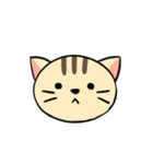 犬猫スタンプ（個別スタンプ：37）