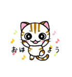 しまにゃん（個別スタンプ：1）