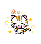 しまにゃん（個別スタンプ：2）