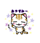 しまにゃん（個別スタンプ：3）