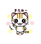 しまにゃん（個別スタンプ：4）