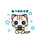 しまにゃん（個別スタンプ：5）