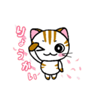 しまにゃん（個別スタンプ：6）
