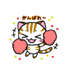 しまにゃん（個別スタンプ：8）