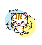 しまにゃん（個別スタンプ：12）