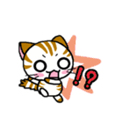 しまにゃん（個別スタンプ：13）