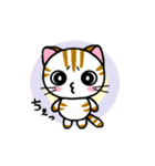 しまにゃん（個別スタンプ：14）