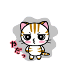 しまにゃん（個別スタンプ：15）
