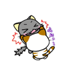 しまにゃん（個別スタンプ：17）