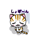 しまにゃん（個別スタンプ：19）