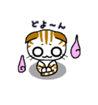 しまにゃん（個別スタンプ：20）