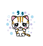 しまにゃん（個別スタンプ：21）