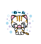 しまにゃん（個別スタンプ：22）