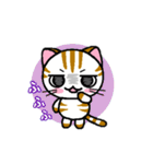 しまにゃん（個別スタンプ：23）