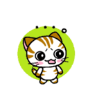 しまにゃん（個別スタンプ：25）
