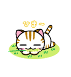 しまにゃん（個別スタンプ：30）