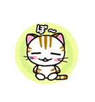 しまにゃん（個別スタンプ：31）