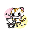 しまにゃん（個別スタンプ：37）