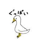 インコ丸と空と海の愉快な仲間たち（個別スタンプ：30）