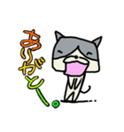 キューブねこ2（個別スタンプ：1）