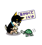 黒柴テリーちゃん②（個別スタンプ：10）