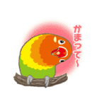 鳥のいるカフェ 鳥さんいっぱいスタンプ（個別スタンプ：31）