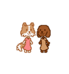 犬っ子（個別スタンプ：13）