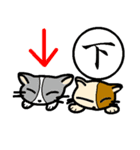 漢字とにゃんこ（個別スタンプ：21）