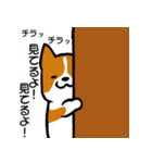 しつこい犬（個別スタンプ：7）