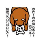 しつこい犬（個別スタンプ：12）