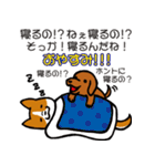 しつこい犬（個別スタンプ：40）